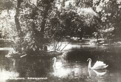 Sogenannter Schwanenteich im Kurpark